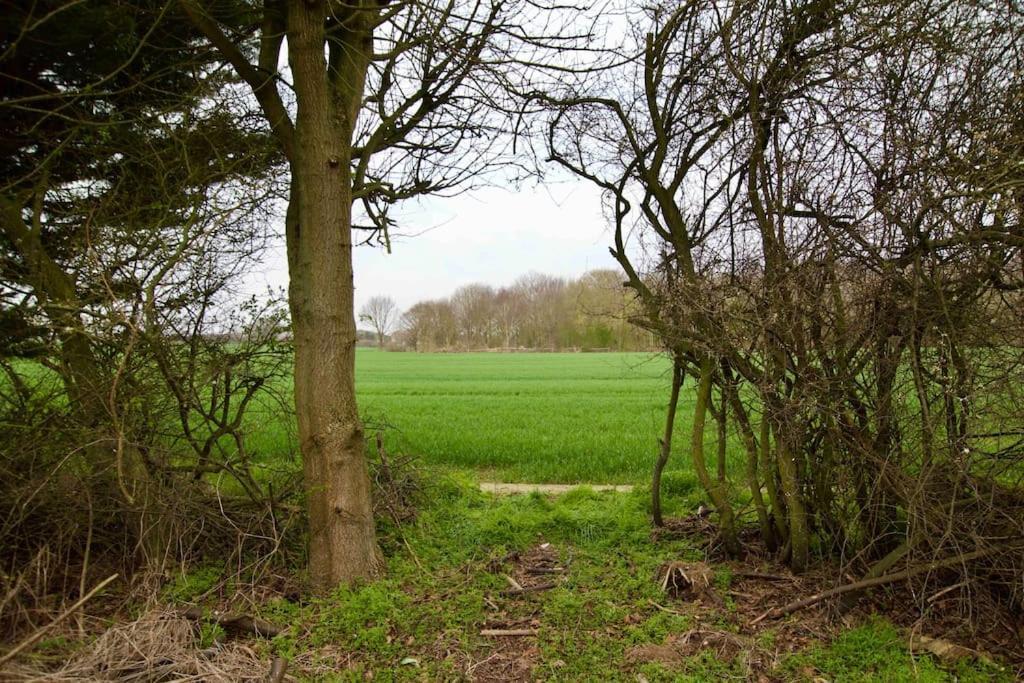 Spacious 5 Bed In The Countryside, Close To Frinton-On-Sea Kirby Cross Eksteriør bilde